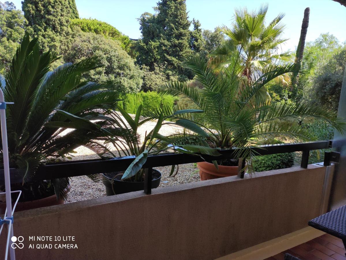Residence Les Palmiers Νίκαια Εξωτερικό φωτογραφία