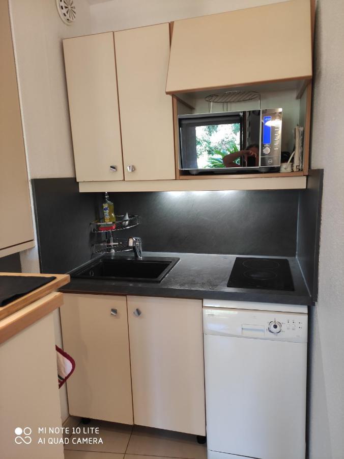 Residence Les Palmiers Νίκαια Εξωτερικό φωτογραφία